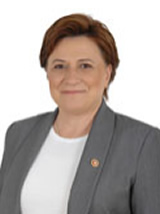 Fatma Güldemet Sarı Fatma Güldemet Sarı