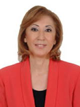 Ayşe Gülsün Bilgehan Ayşe Gülsün Bilgehan
